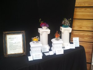 Special Exhibit Division II Miniature Design