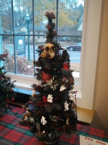 Bird Song. Penny Wheeler