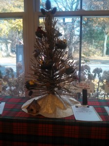 Birds of a Feather. Mary Briggs