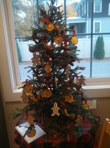 Grandma's Christmas Kitchen. Linda Pulver