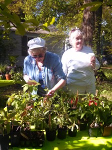 Joan and Vikki check our prices