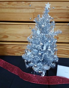 Christmas Story - Rae Hart