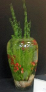 20,000 Leagues Under the Sea - Rae Hart