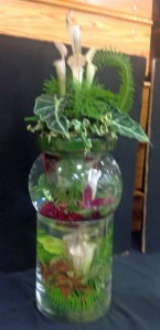 20,000 Leagues Under the Sea - Patrick Boyles