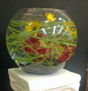 20,000 Leagues Under The Sea - Linda Ahlin