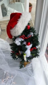 Festival of Trees5 2015