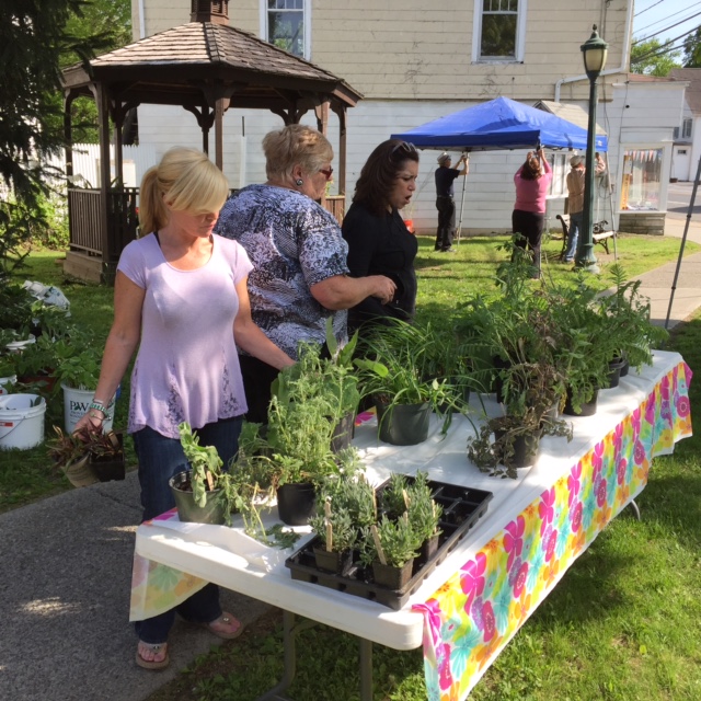 2016 plant sale 5