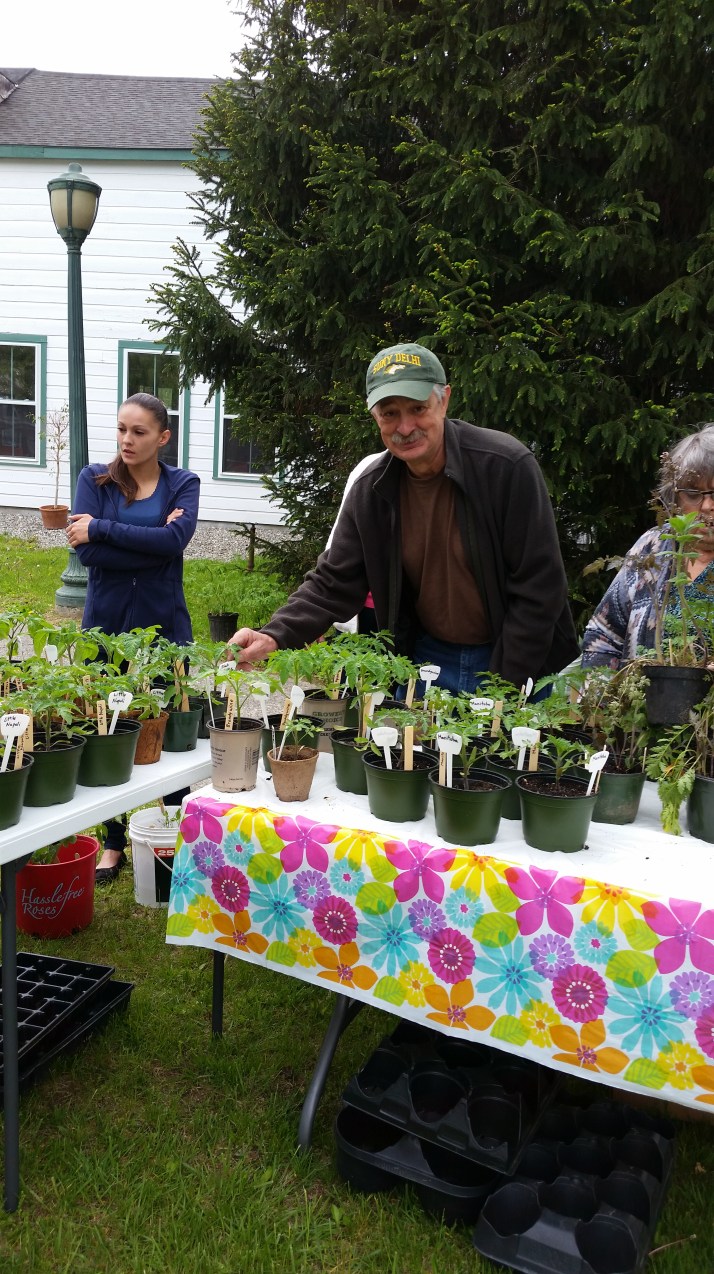 2016 plant sale 8