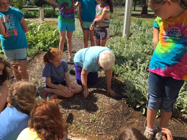 Girls on the Run Team 2