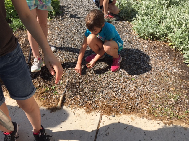 Girls on the Run Team 4