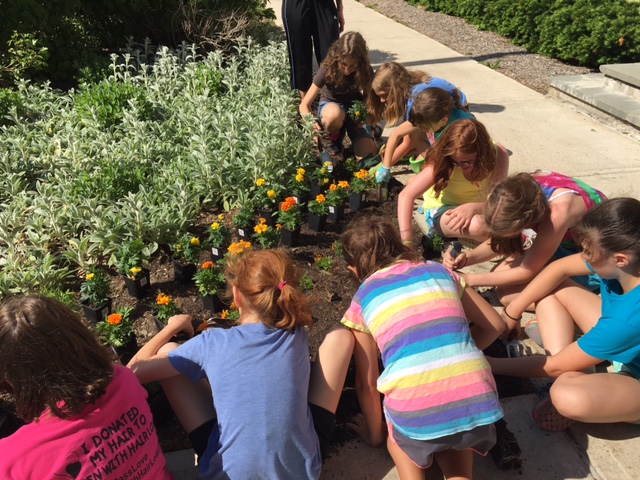 Girls on the Run Team 7