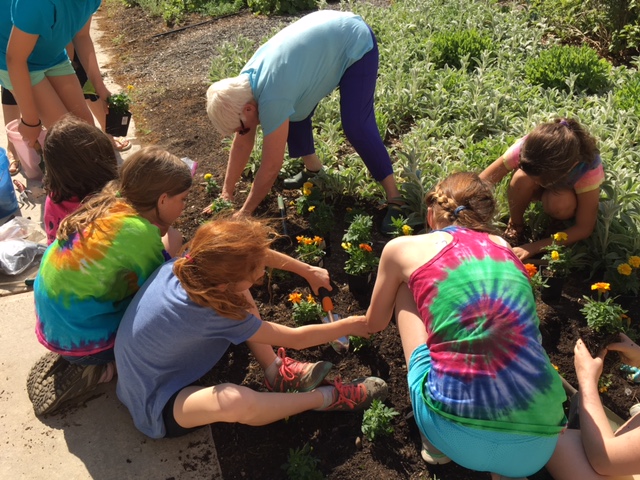 Girls on the Run Team 8