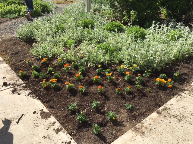 Girls on the Run Team 9