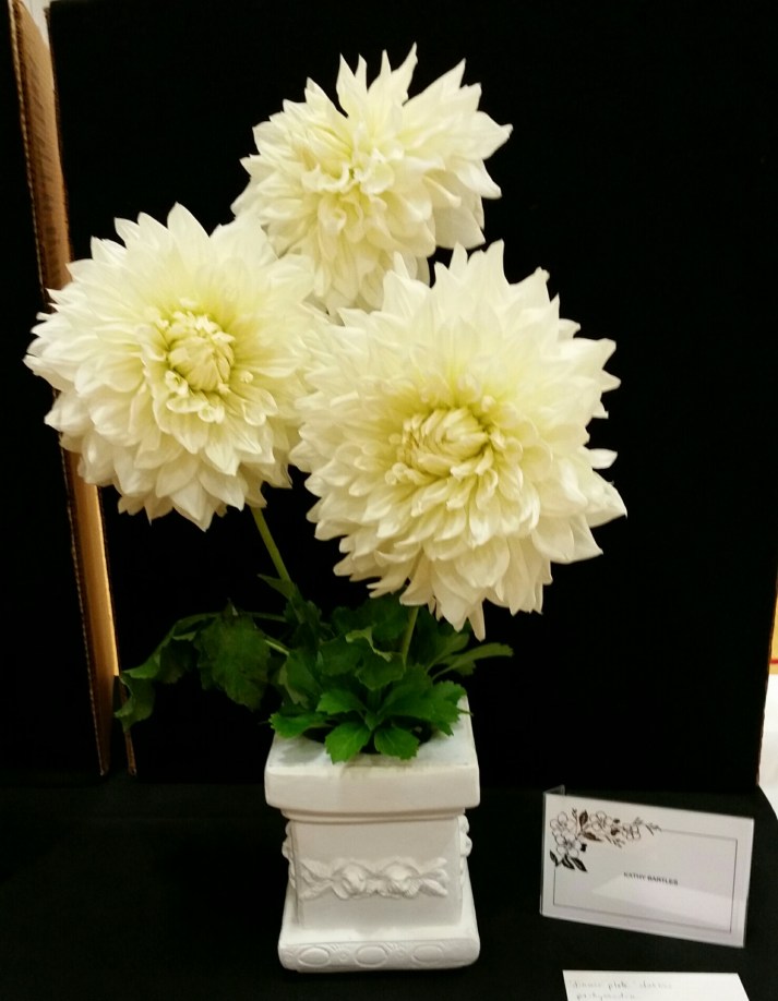 2016-flower-show-8
